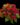 01648BC7-7478-43EC-B22E-03DB1C99652B