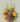 Photoroom_20260316_150513