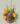 Photoroom_20260316_150513