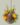 Photoroom_20260316_150513